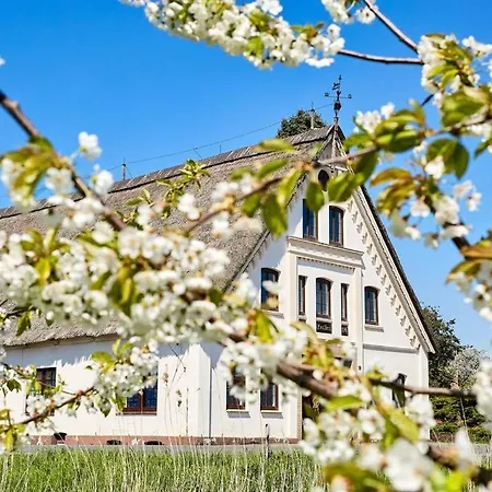 Cityappartement Am Kirschberg *