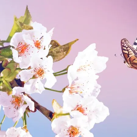 شقة Cityappartement Am Kirschberg *