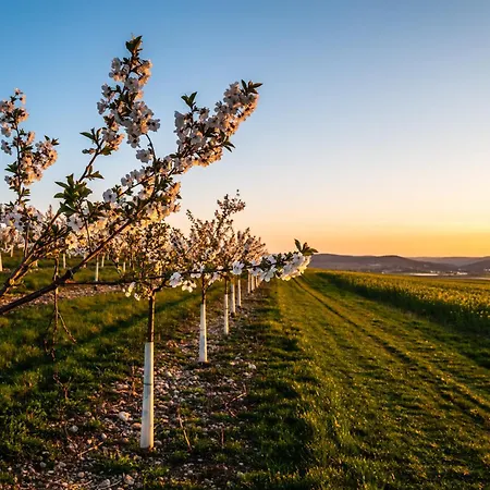 Cityappartement Am Kirschberg Apartment Weimar (Thüringen)