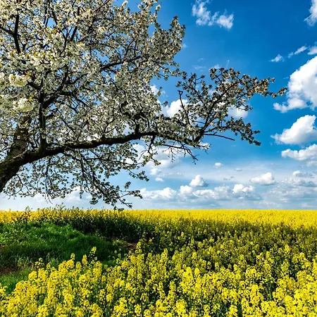 Cityappartement Am Kirschberg *