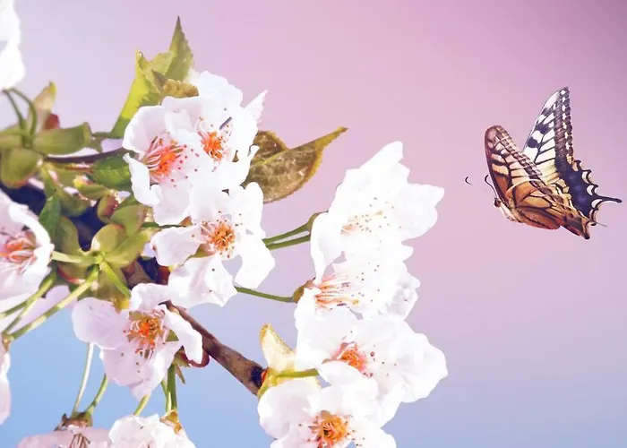 Cityappartement Am Kirschberg Apartment