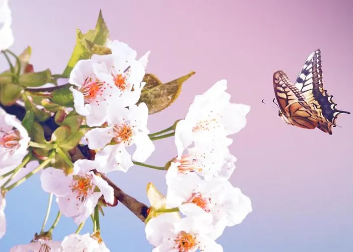 Apartment Cityappartement Am Kirschberg *