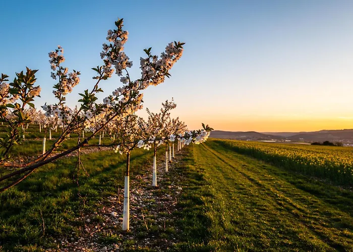 Cityappartement Am Kirschberg Appartement Weimar (Thuringia)