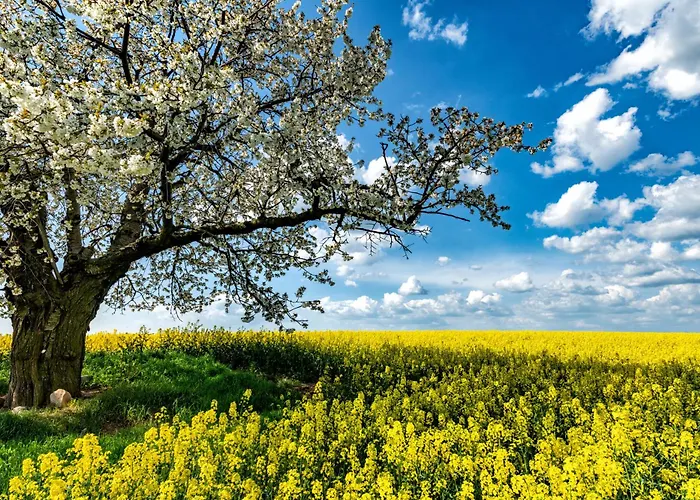 Cityappartement Am Kirschberg *